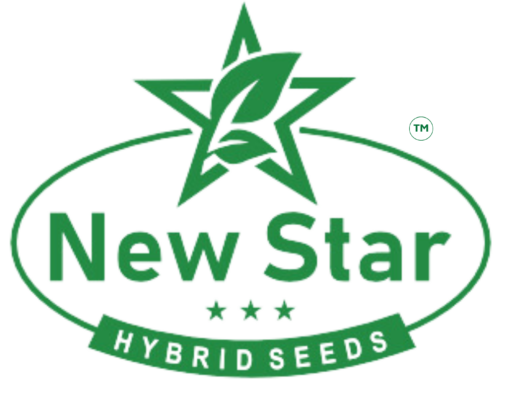 New Star Hybrid Seeds