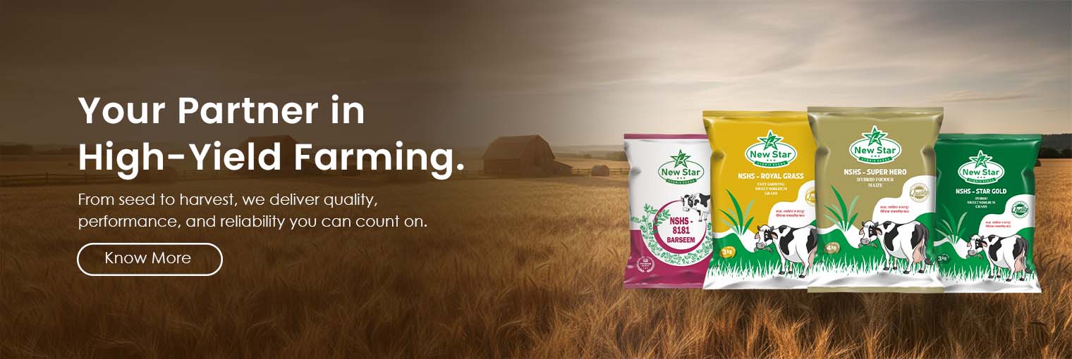 New star banner new 02